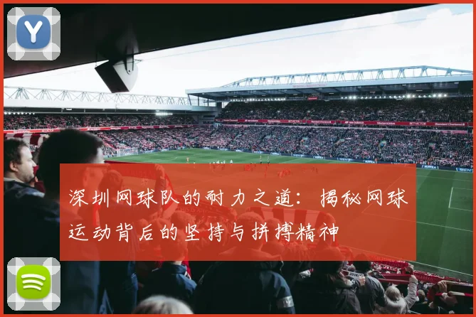 深圳网球队的耐力之道：揭秘网球运动背后的坚持与拼搏精神
