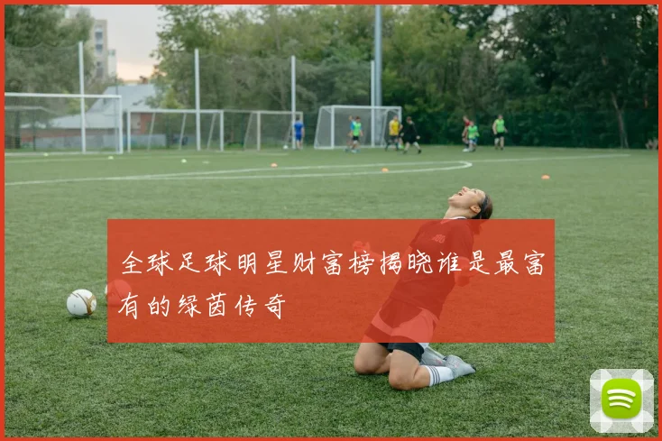 全球足球明星财富榜揭晓谁是最富有的绿茵传奇