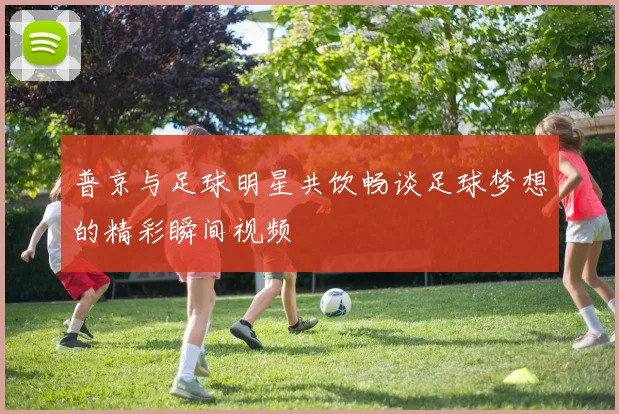 普京与足球明星共饮畅谈足球梦想的精彩瞬间视频