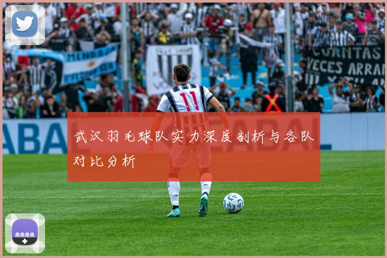 武汉羽毛球队实力深度剖析与各队对比分析