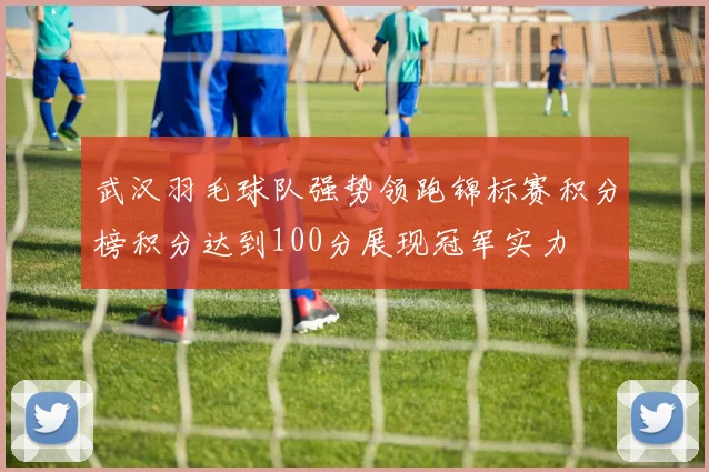 武汉羽毛球队强势领跑锦标赛积分榜积分达到100分展现冠军实力