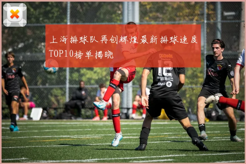 上海排球队再创辉煌最新排球速度TOP10榜单揭晓