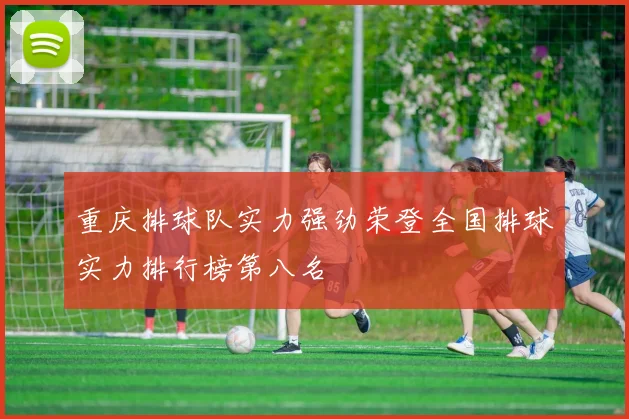 重庆排球队实力强劲荣登全国排球实力排行榜第八名