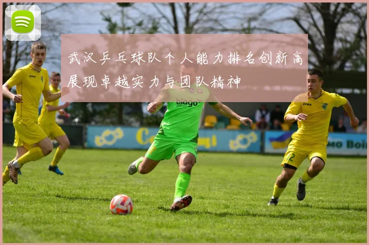 武汉乒乓球队个人能力排名创新高展现卓越实力与团队精神