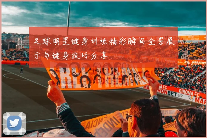 足球明星健身训练精彩瞬间全景展示与健身技巧分享