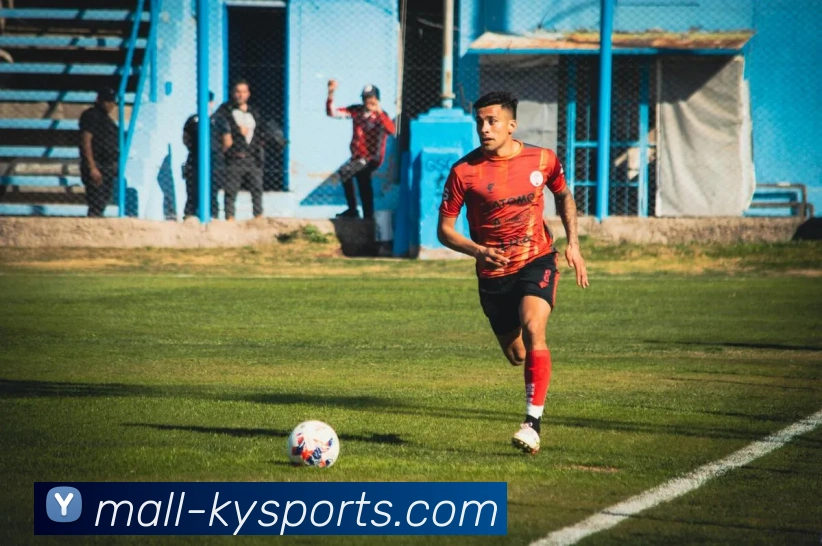 开云平台生态图